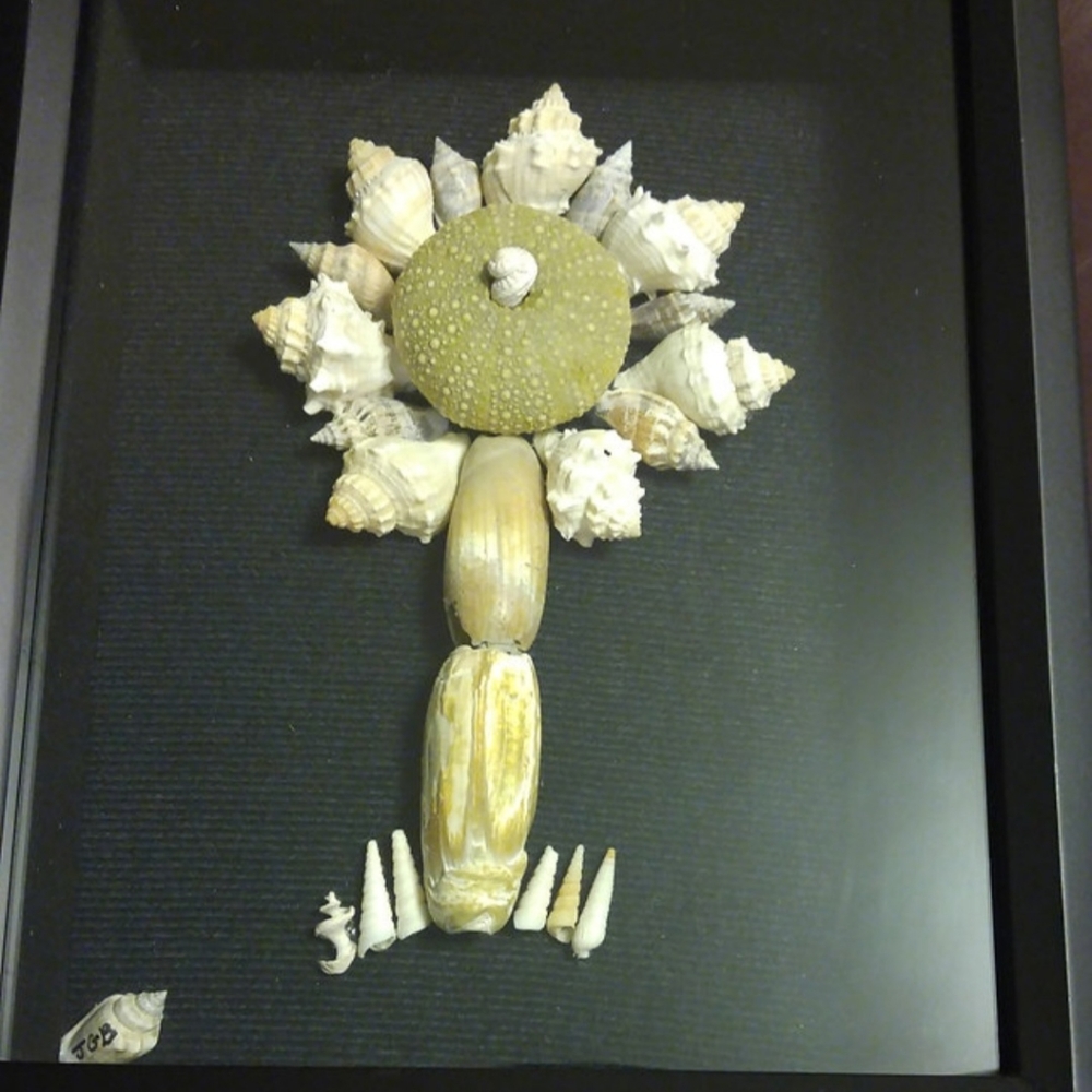 Framed Seashell Wall Art | Sea Sunflower